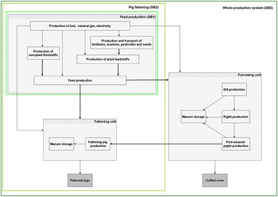 Eco-Friendly Feed Formulation and On-Farm Feed Production as Ways to Reduce the Environmental Impacts of Pig Production Without Consequences on Animal Performance